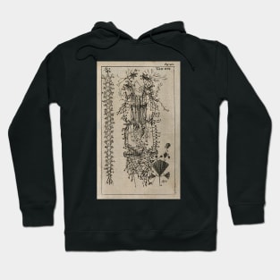 The Nervous System, Unknown, 1686 Hoodie